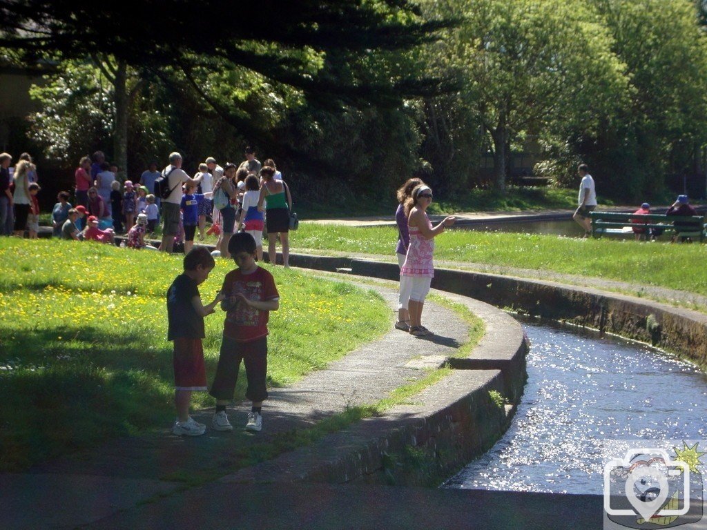 Alverton School Annual Duck Race 1