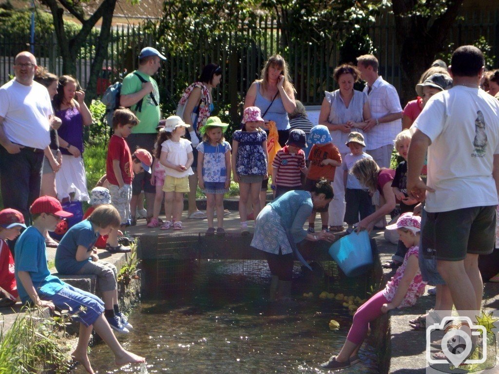 Alverton School Annual Duck Race 2