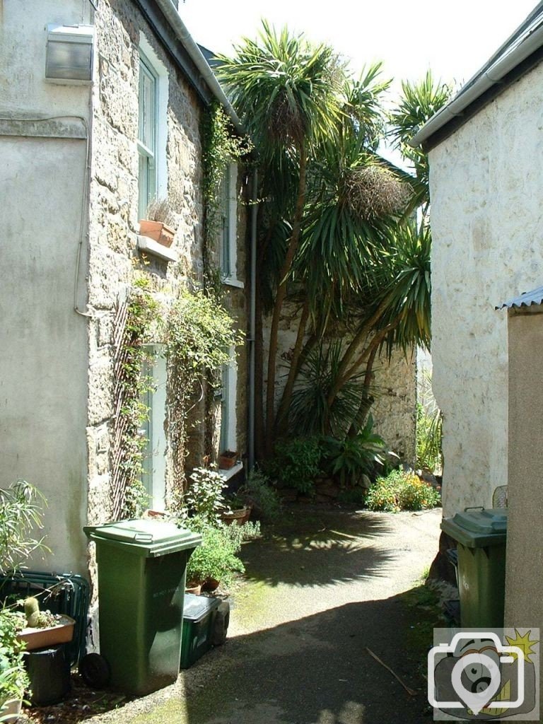 Among the back streets of Newlyn