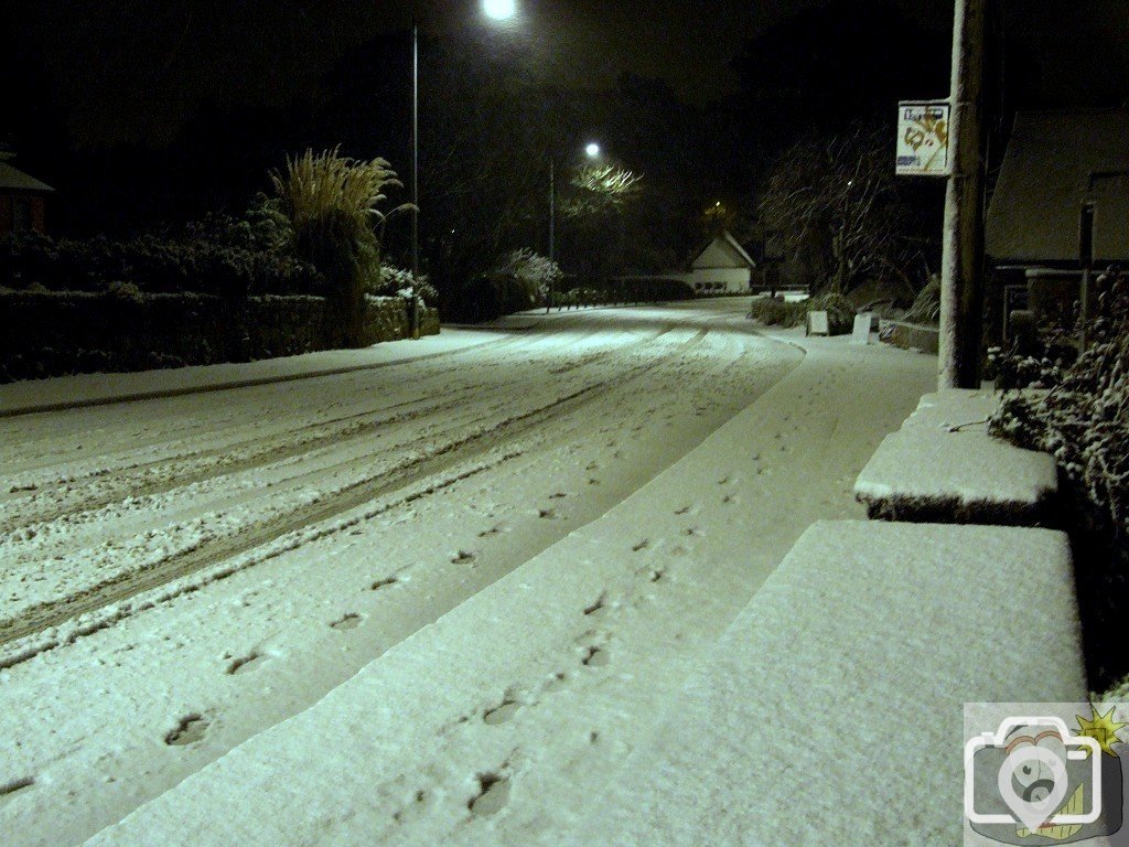 An Ice Night for a Walk