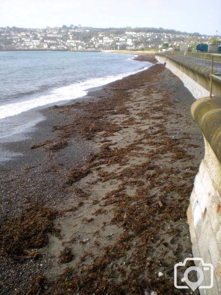 Around  the  prom  Penzance.