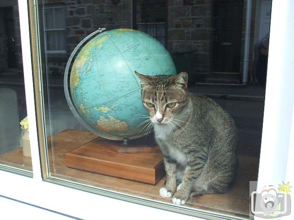 Around the world in nine lives.