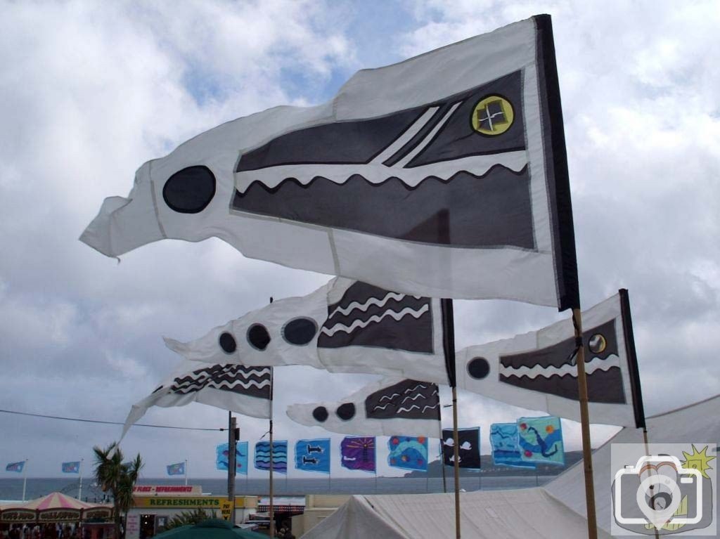 Attractive Golowan pennants and flags