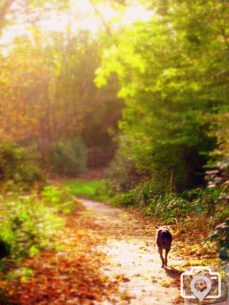 Autumn in the Penzance area