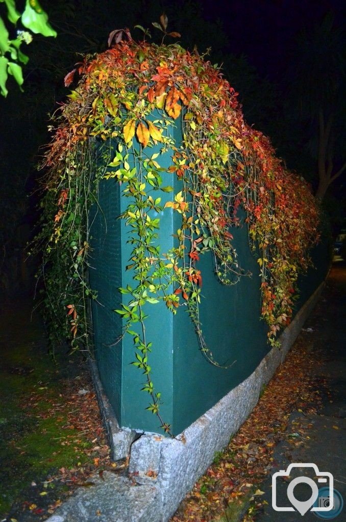 Autumn Wall