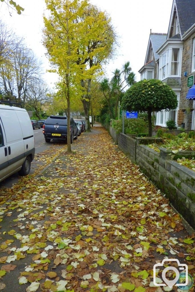 Autumnal Alexandra Road 11