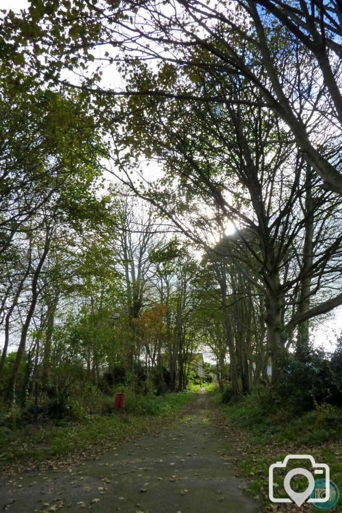 Autumnal Path