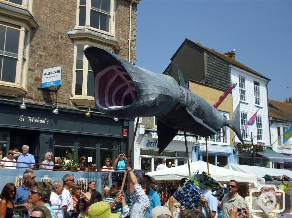 Basking shark - Mazey Day - 26Jun10