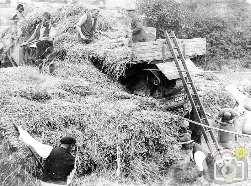 Bringing in the harvest