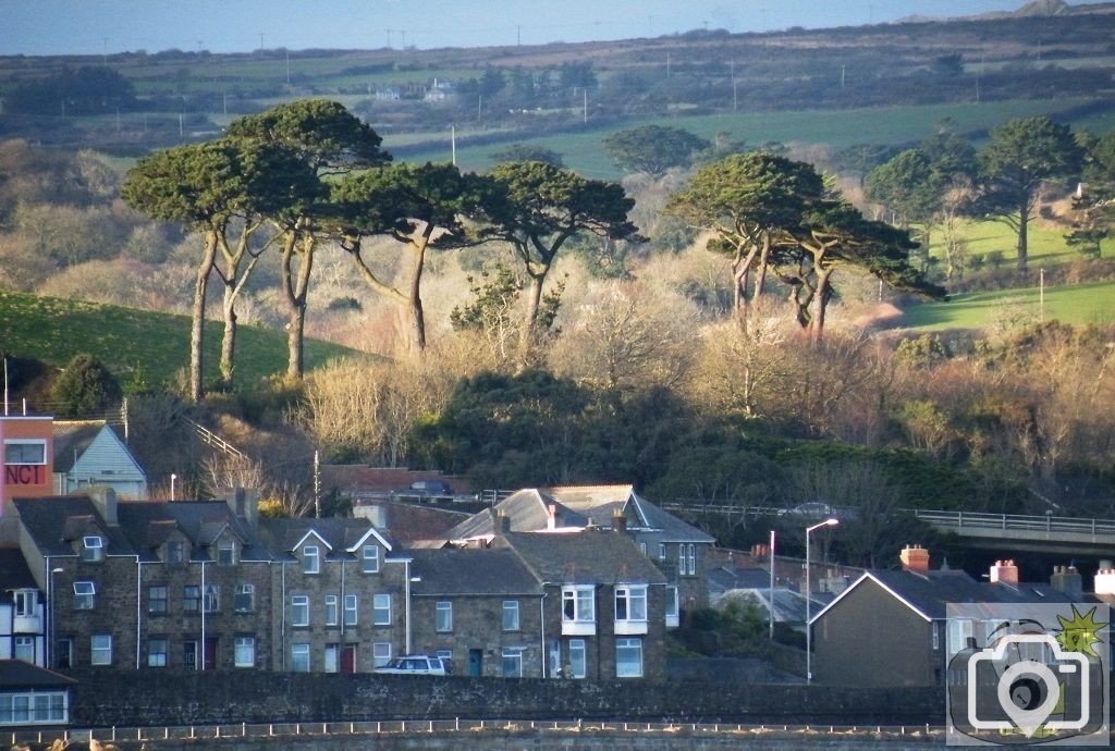 Chyandour Cliff, the bypass and Ponsandane Trees