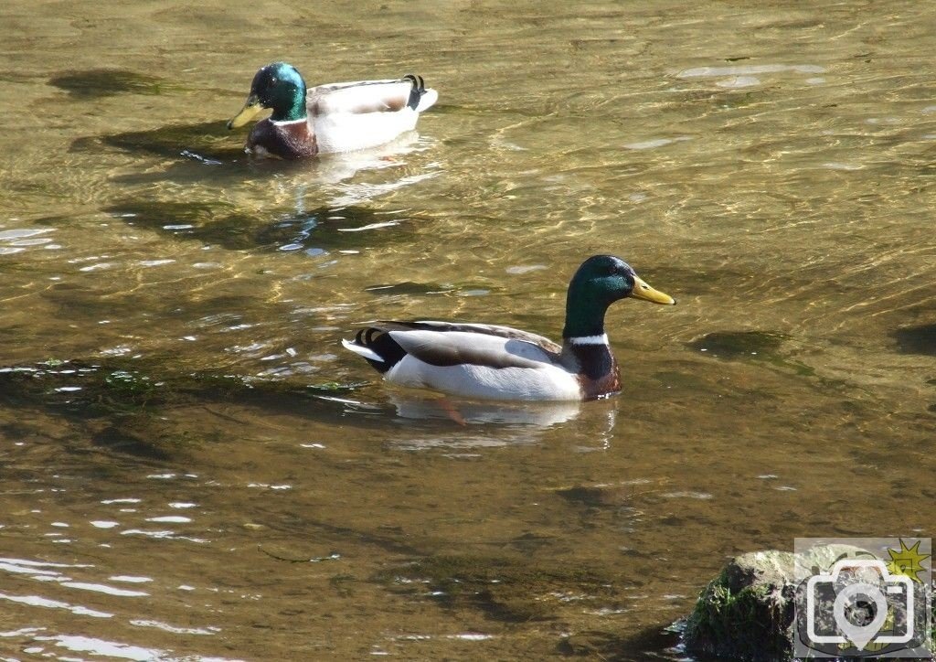 Copperhouse Canal