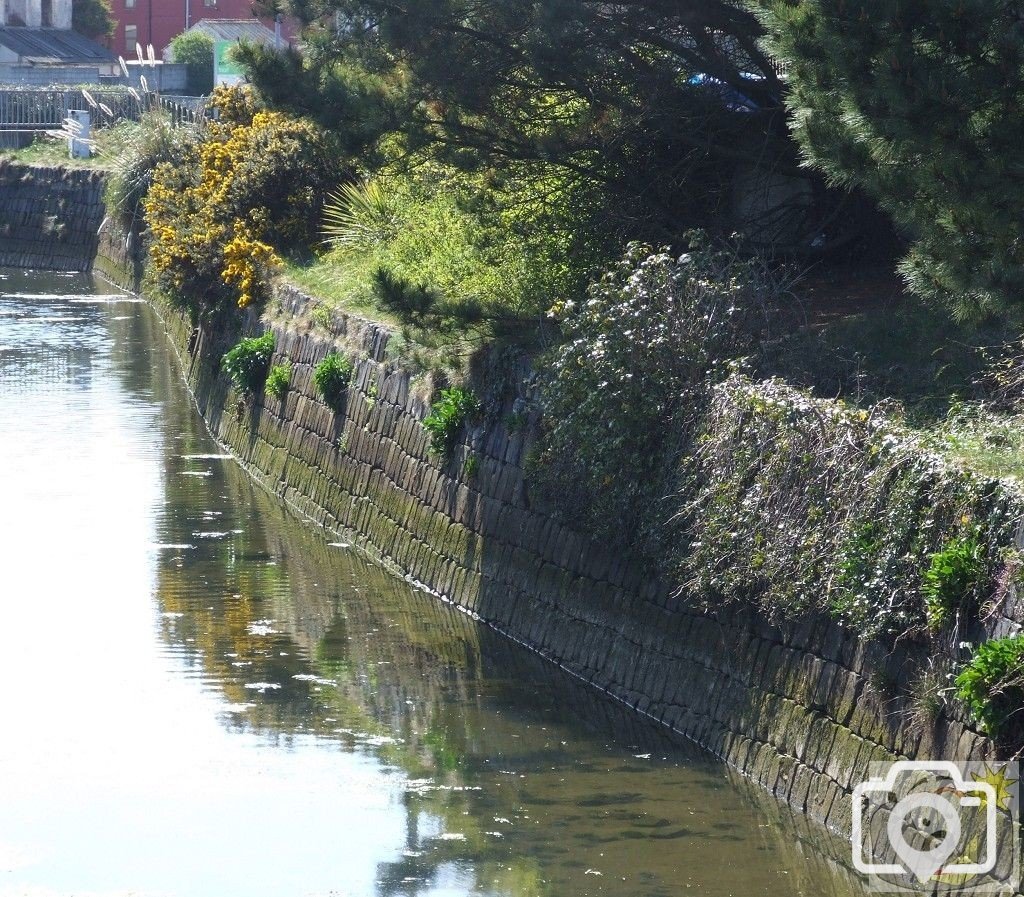 Copperhouse Canal