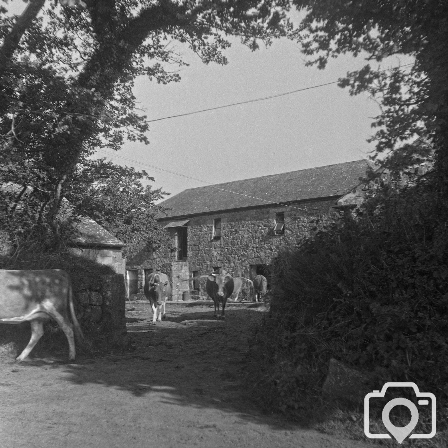 Cornwall Farm (1) 1959