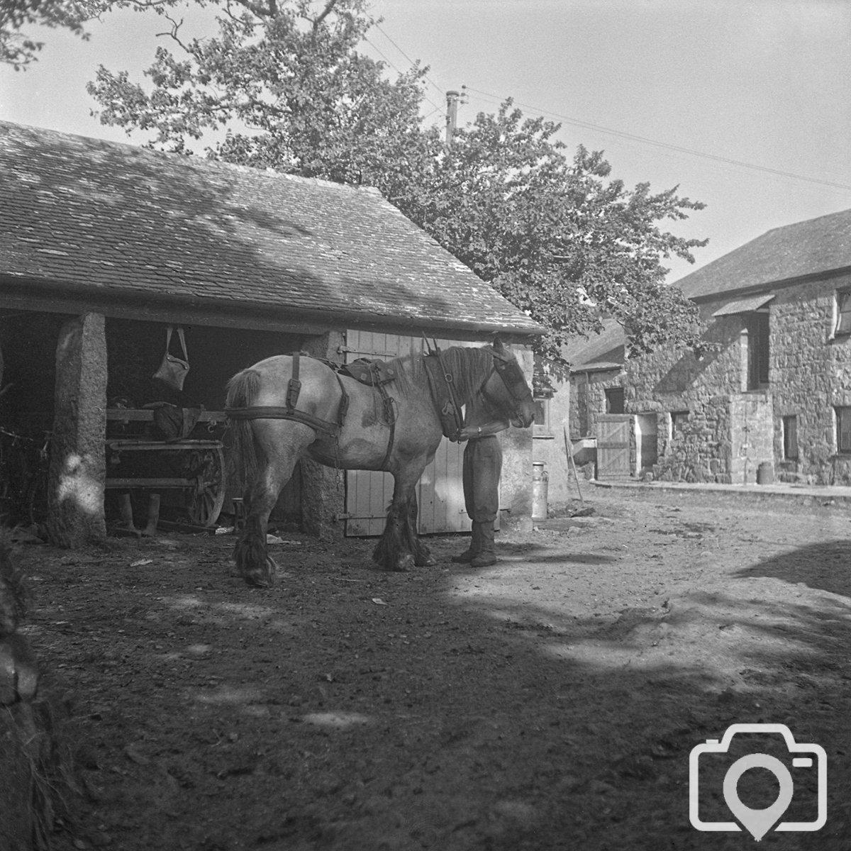 Cornwall Farm (2) 1959