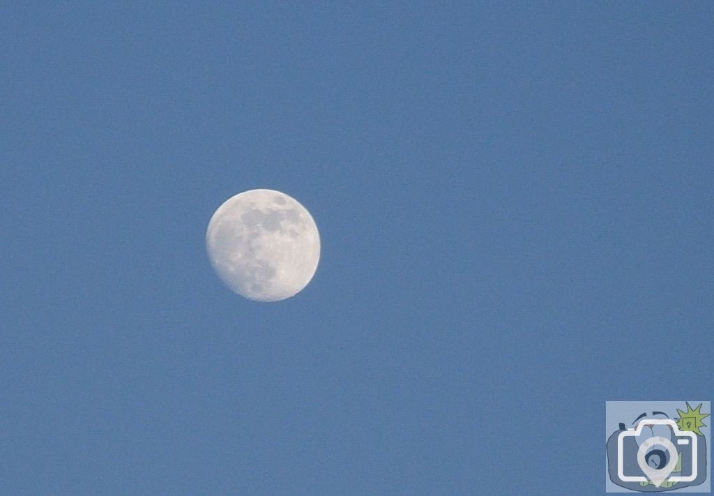 Day Moon