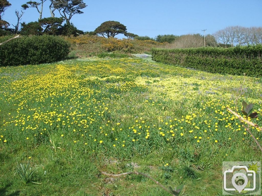 Day Trip to Scilly - 20th April, 2007