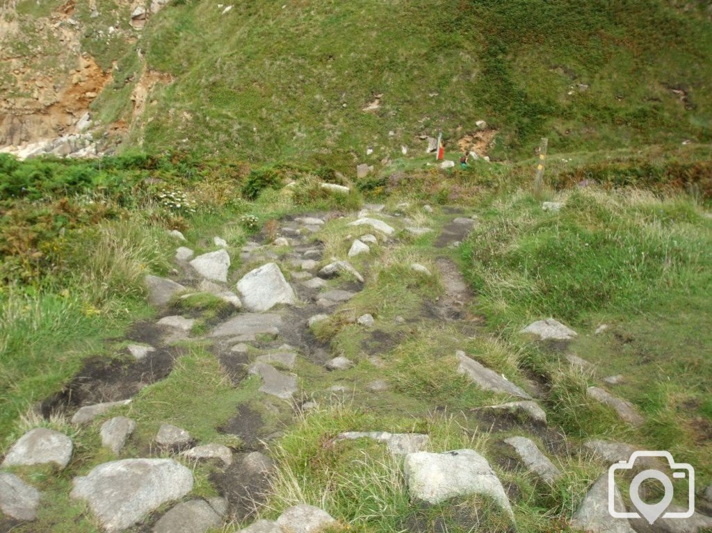 Descending the cliff to Portheras Cove (17th Aug., 2009)