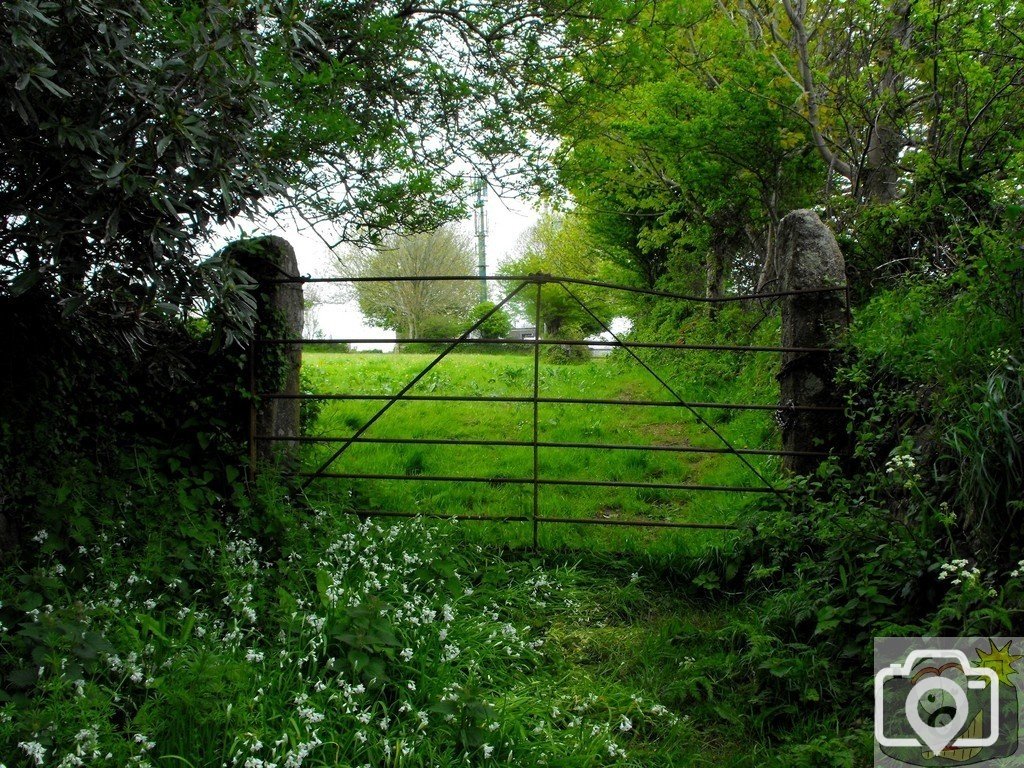 Disused gate