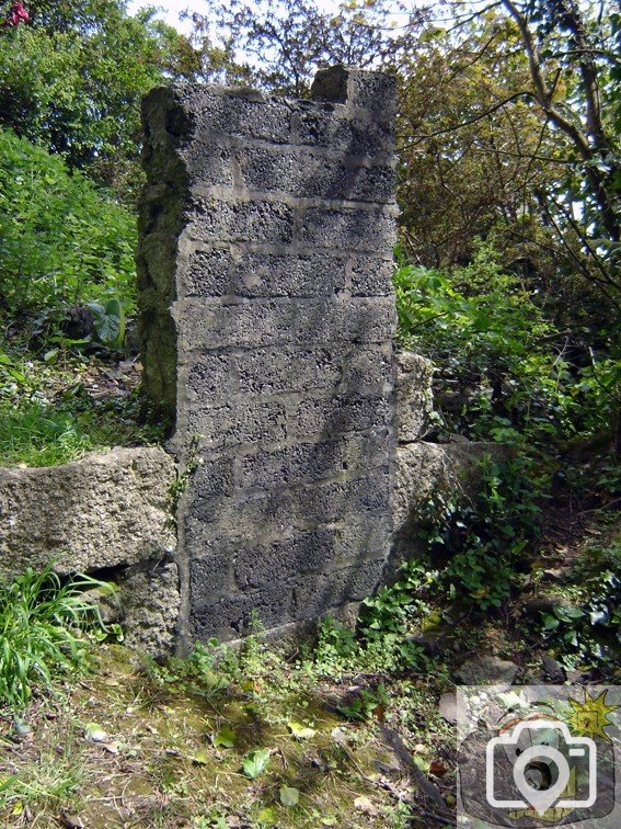 Doorway at Bluebell Dell