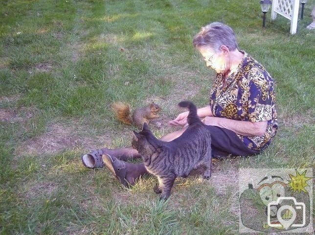 Feeding wildlife