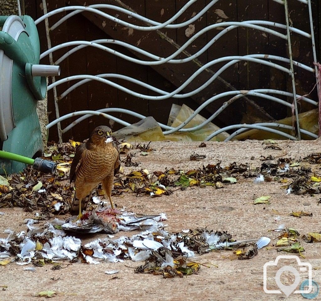 Fleets of Peace and War in Mounts Bay Penzance