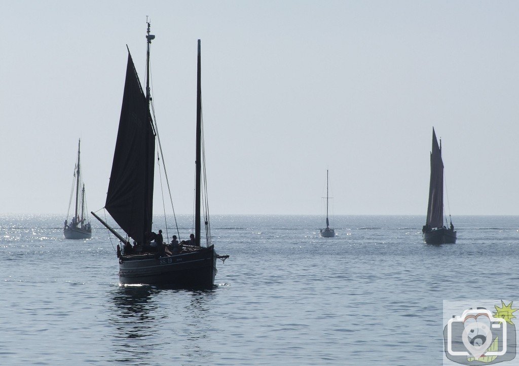 Flotilla - 10