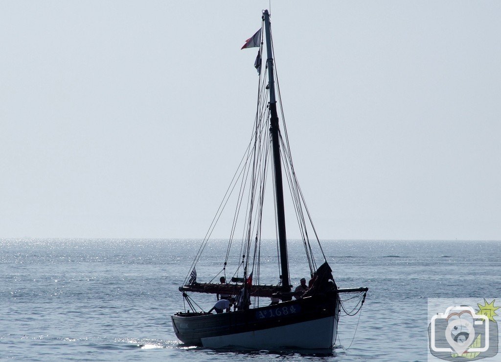 Flotilla - 11