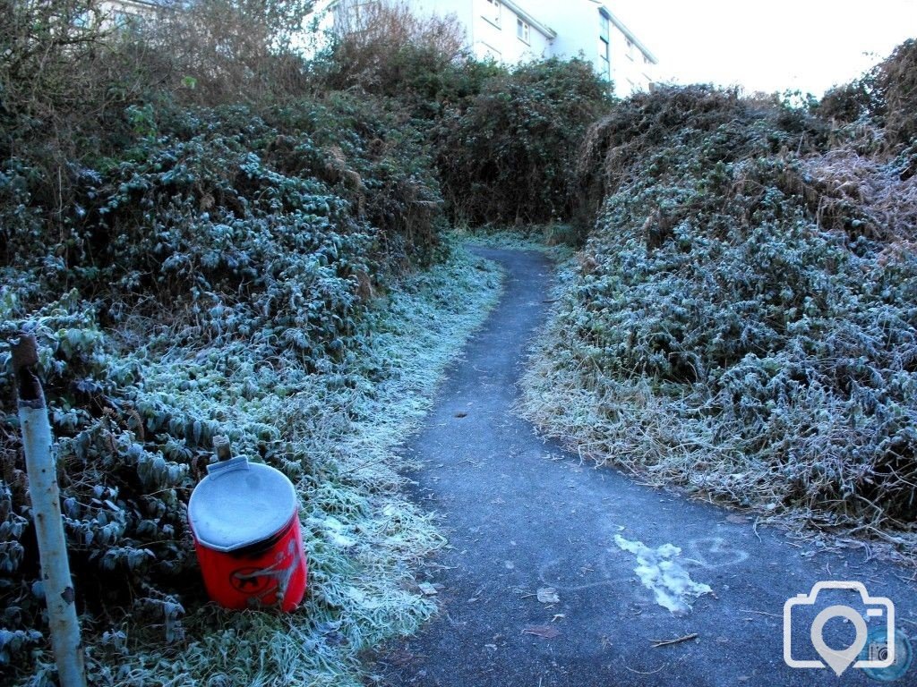 Frosty lane