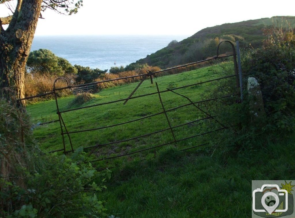 Gate set on a slope, near Raginnis - Remembrance Sunday, 8th Nov., 2009