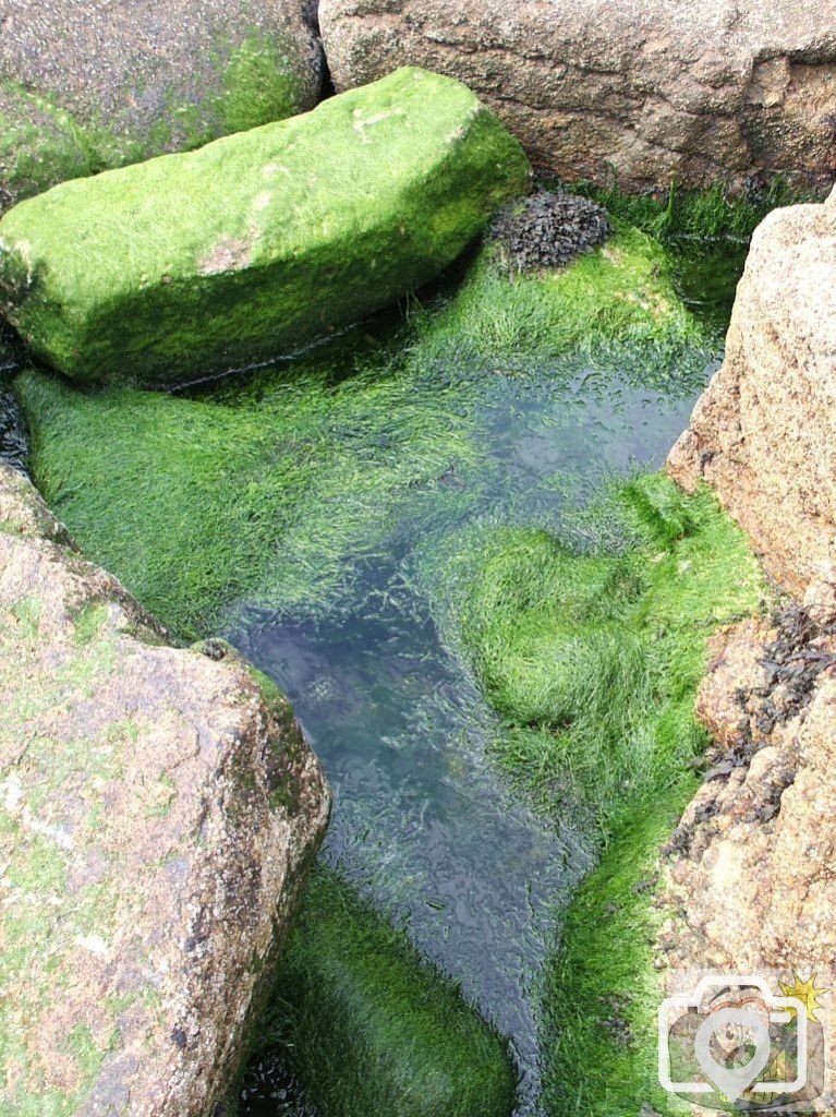 Gwynver, Sennen, 27th July, 2008