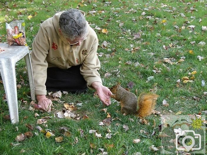 Hand feeding wild life