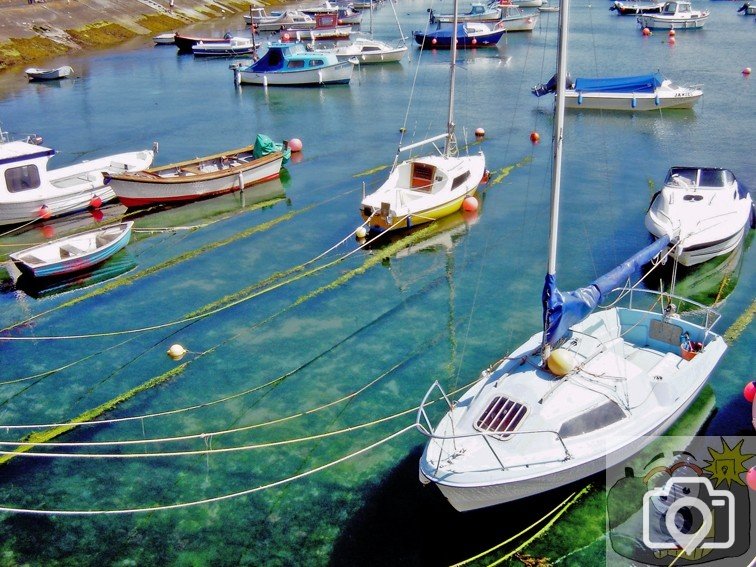 Harbour Boats