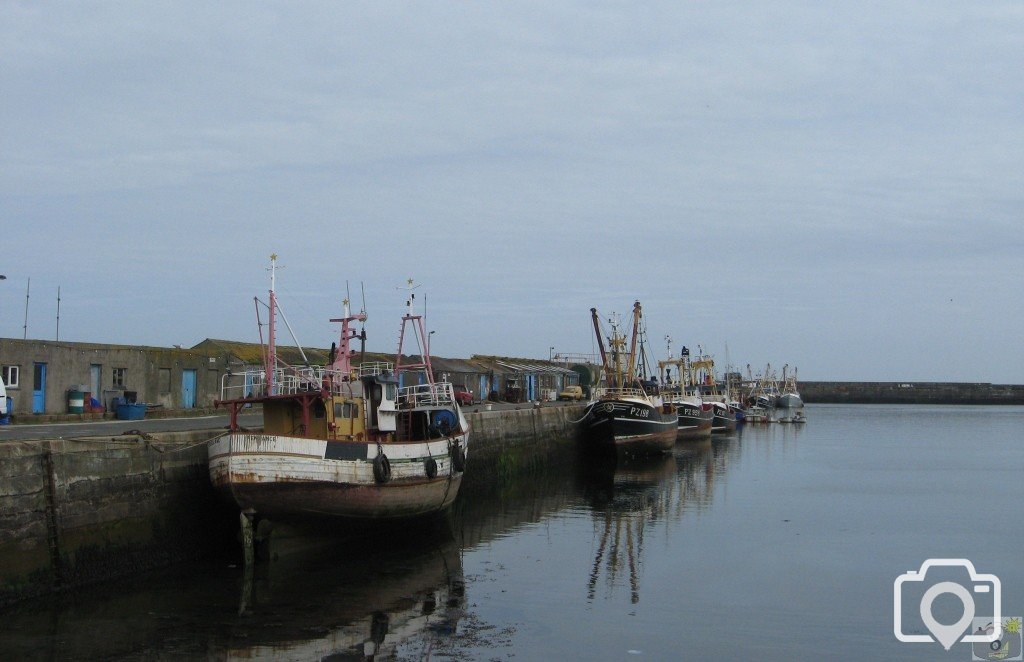 Harbour View