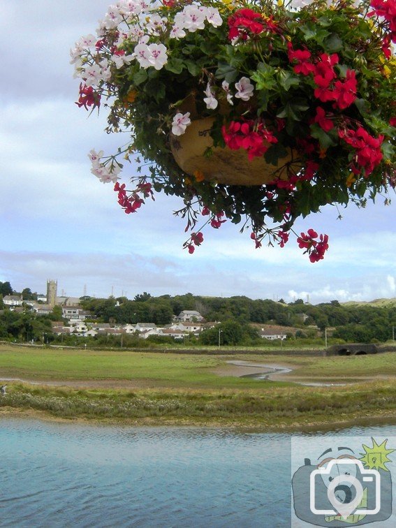 Hayle in Bloom 02