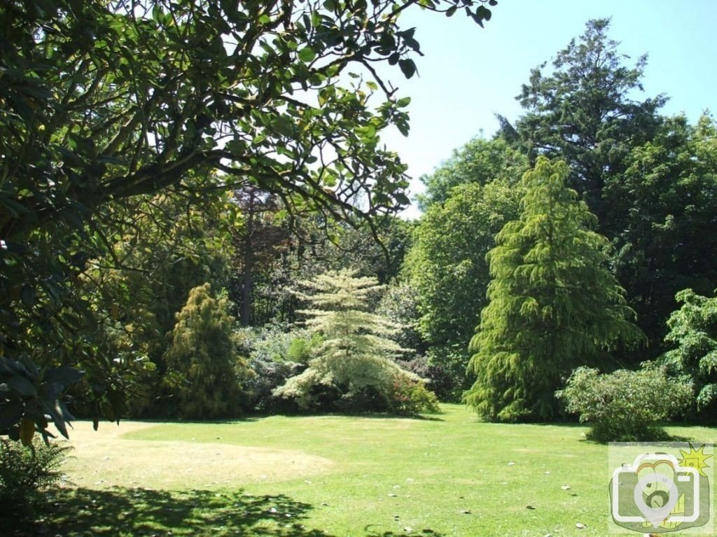 Higher Garden - Trewidden Gardens - June '08