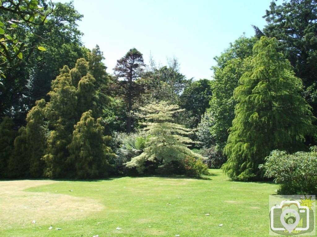 Higher Garden - Trewidden Gardens - June '08