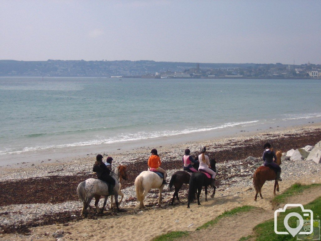 Horses on Long Rock beach