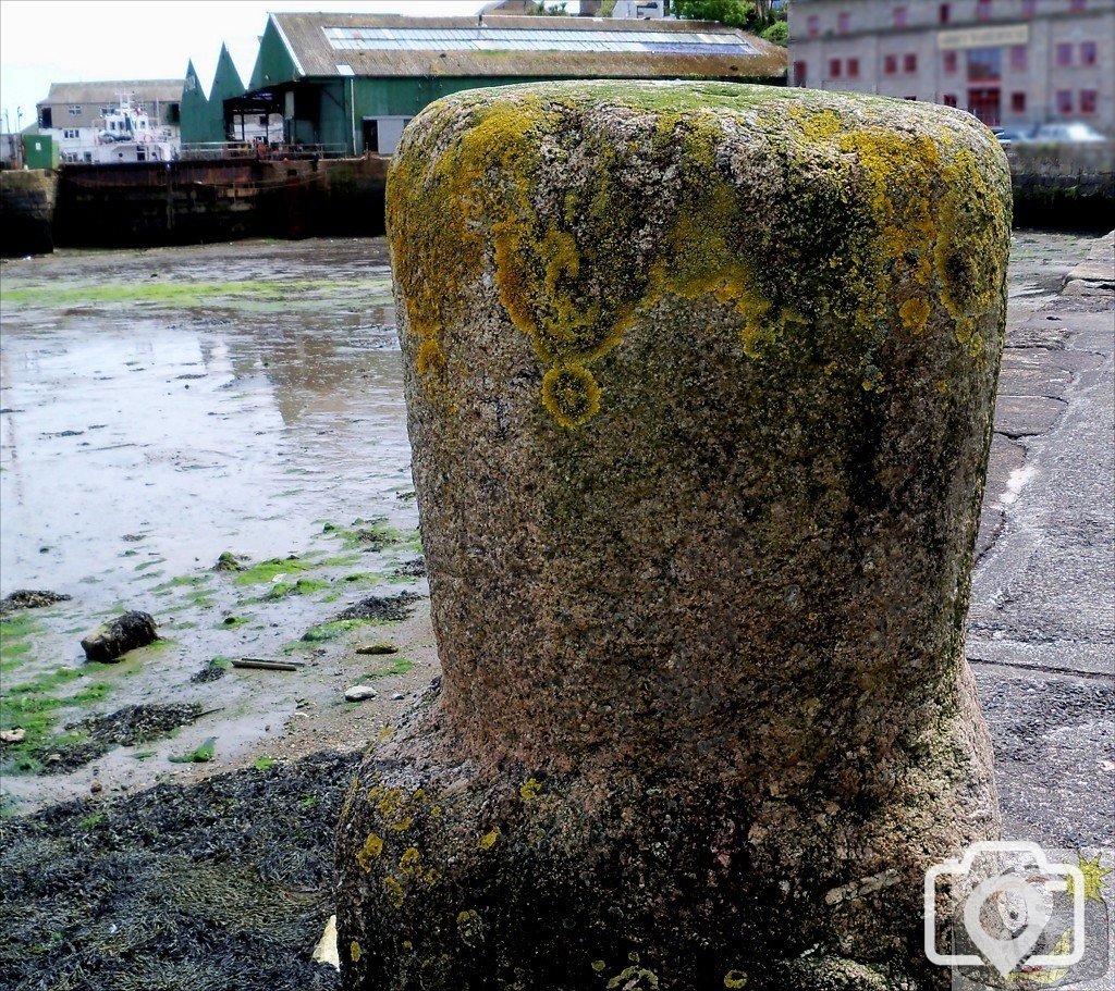 Inner Pool Bollard