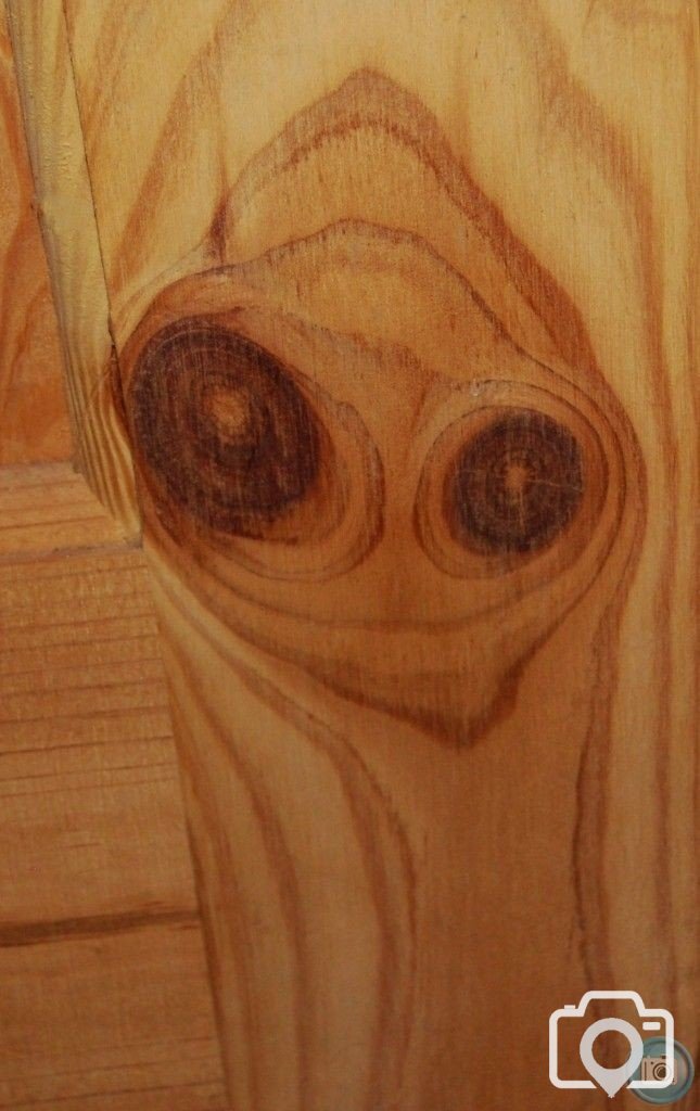 Knot E.T.