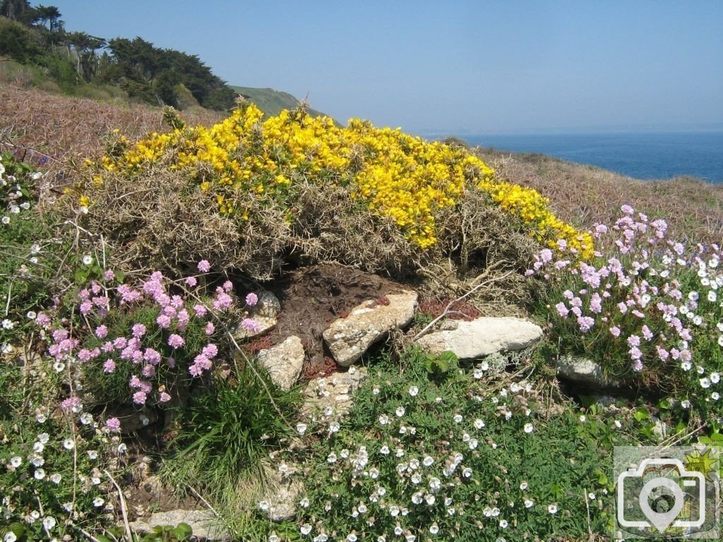 Lamorna walk.