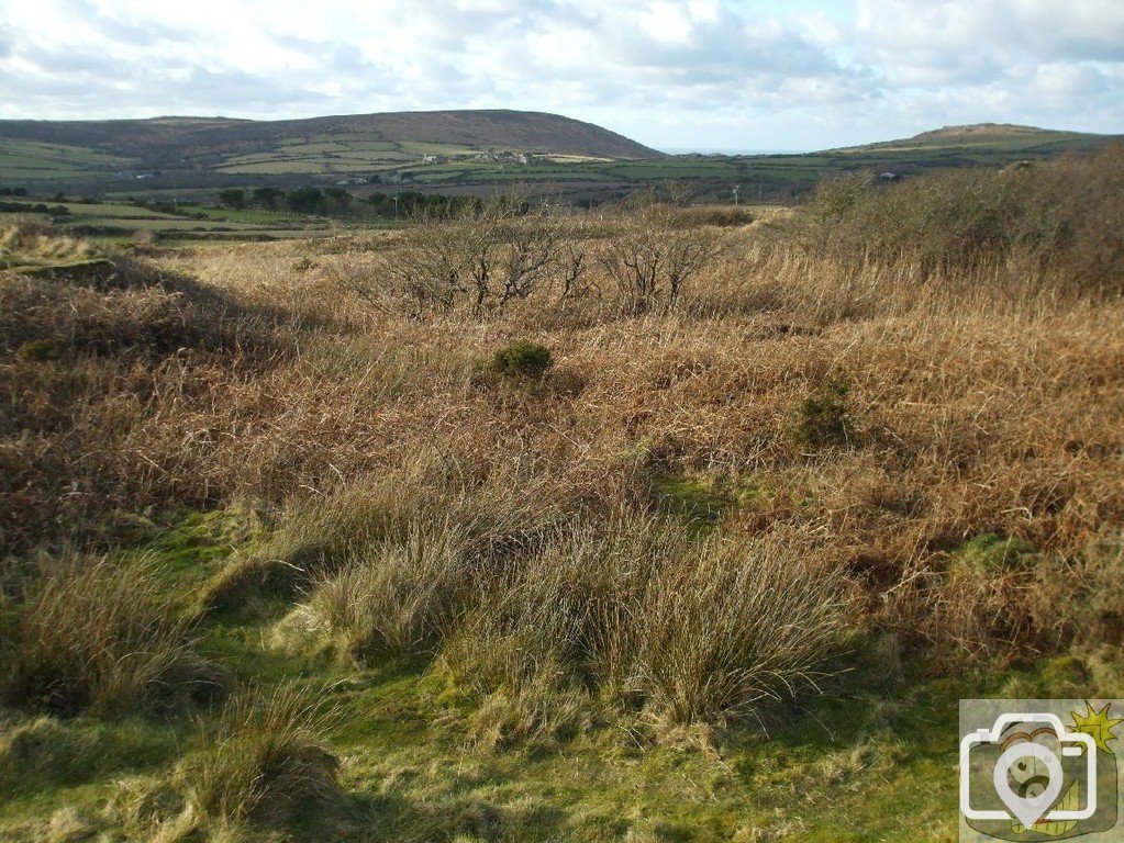 Land around Giew Mine, near Cripplesease - 10th Feb., 2010