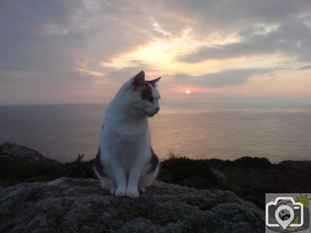 Land's End