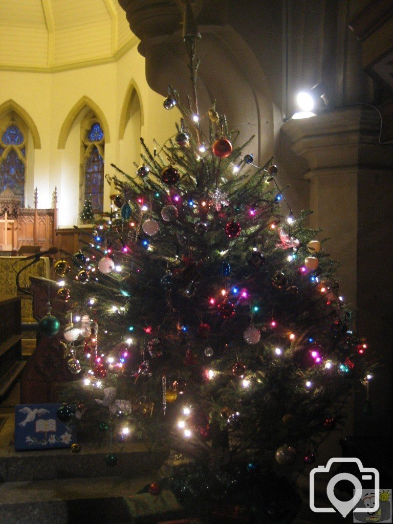 Large Christmas Tree
