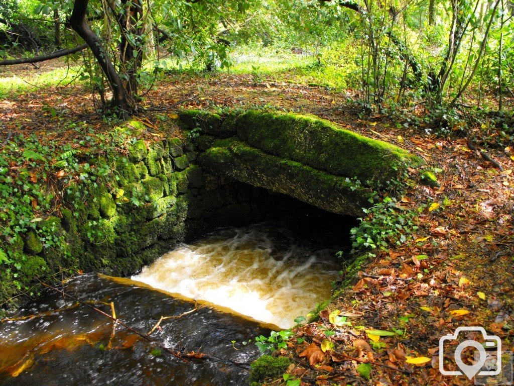 Lariggan Brook (2)