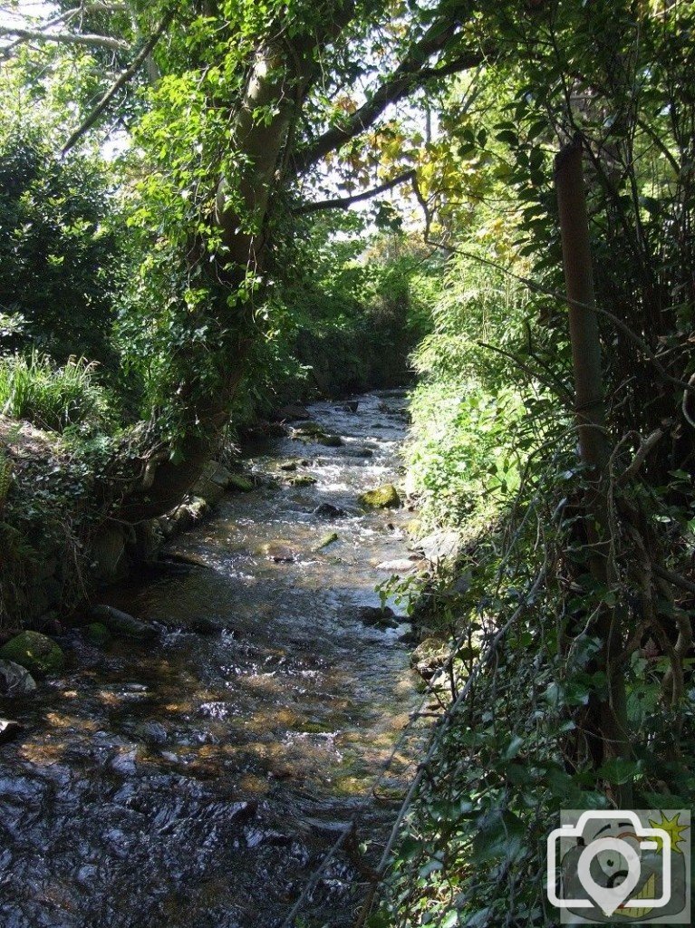 Lariggan Brook