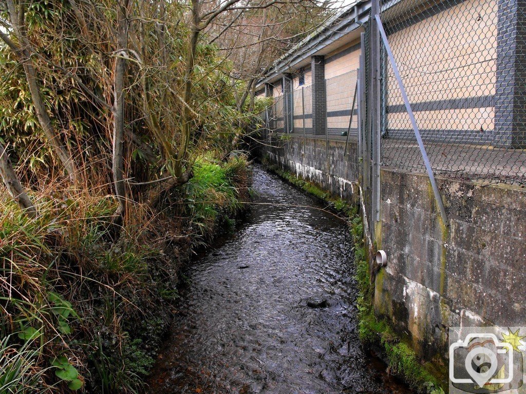 Larrigan stream