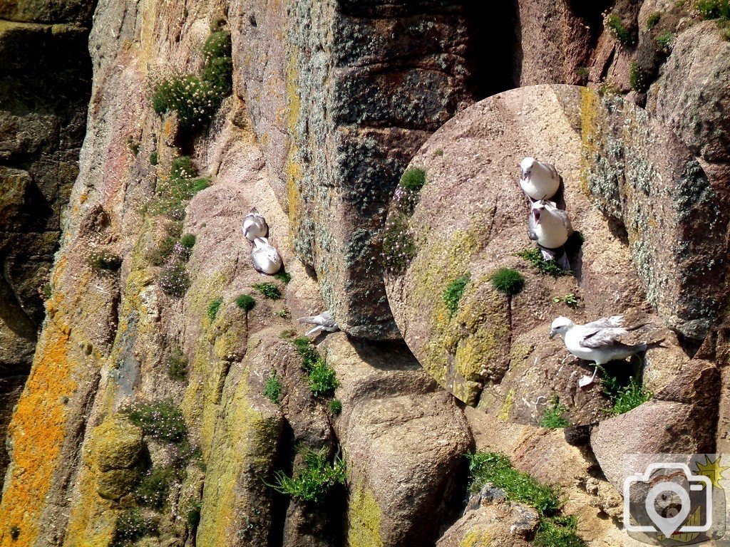 Last parade of the day: Men and Maids