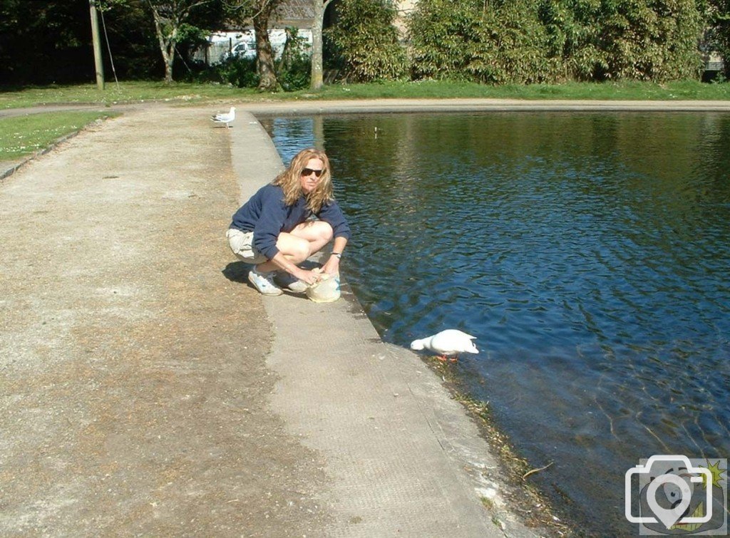 Little White Duck