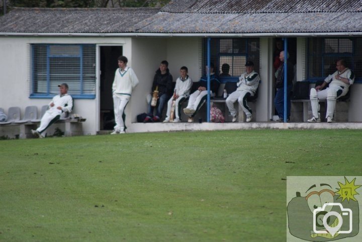 local cricket