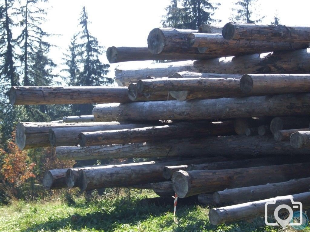 logs